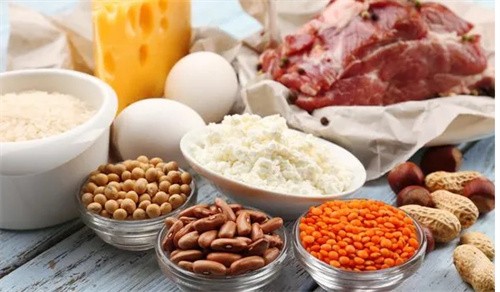 高蛋白食物主要是哪些（哪些食物富含高蛋白）