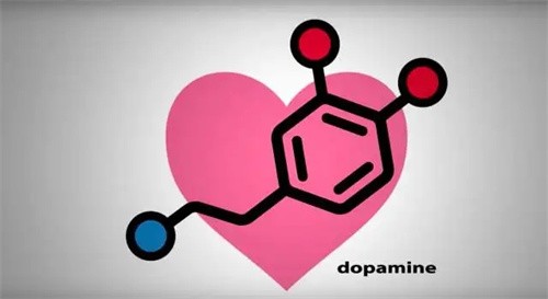 多巴胺是什么东西（多巴胺有什么用处）