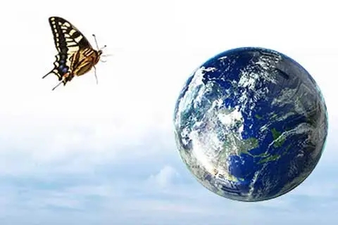 蝴蝶效应是什么意思？你了解蝴蝶效应吗？