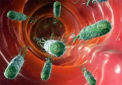幽门螺旋杆菌感染有哪些症状？专家：严重时可能会导致胃癌！