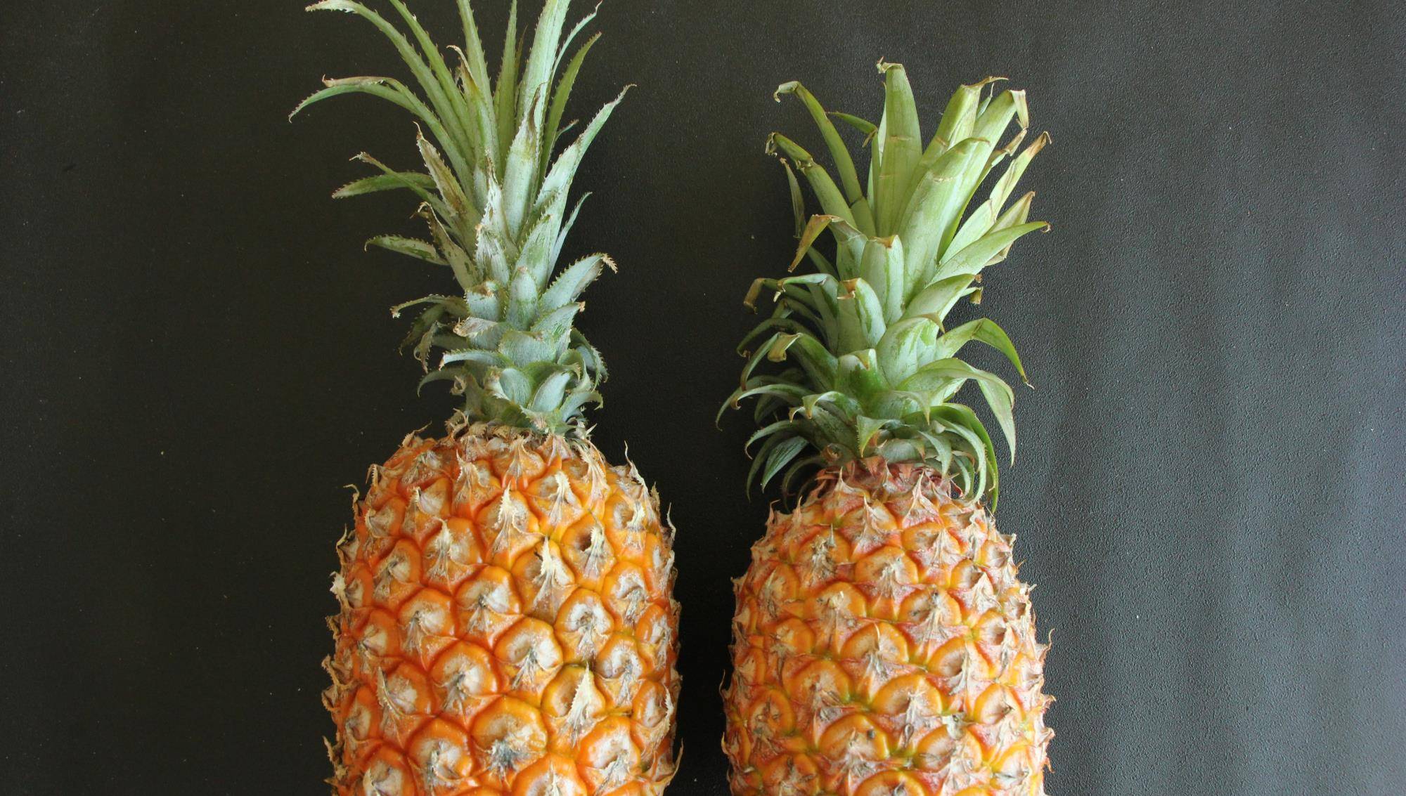 凤梨与菠萝的区别在哪？是不同品种水果？