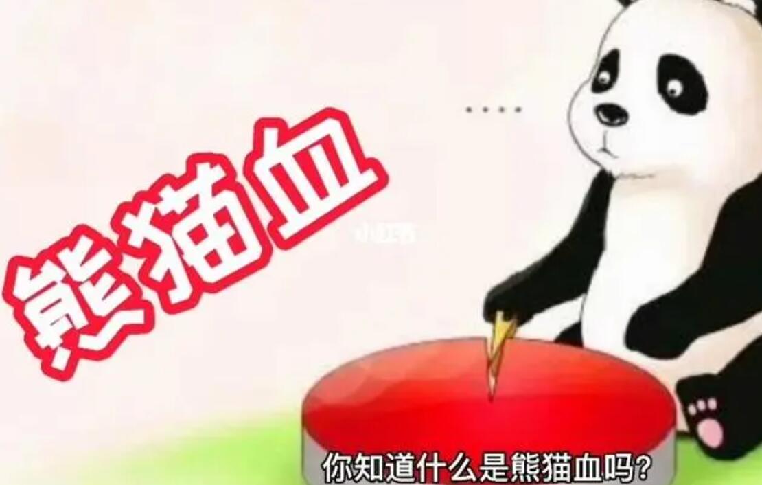 熊猫血是什么血型？网友：看完是熊猫血和不是熊猫血的都沉默了