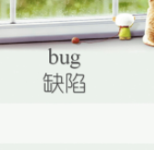 bug是什么意思