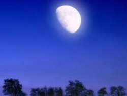 白月光是什么意思？白月光：幻想可望而不可及的人或物