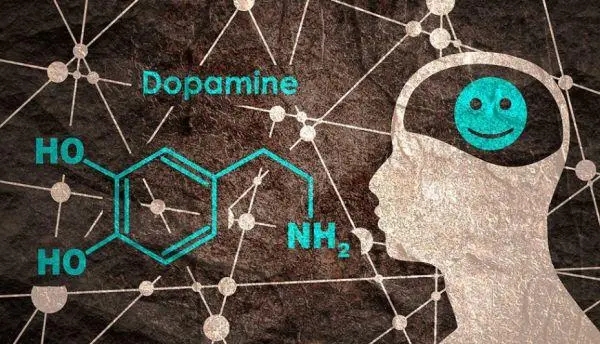 多巴胺是什么东西（什么是多巴胺？）