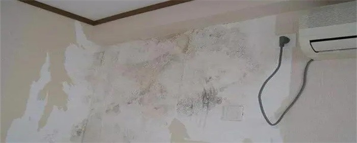 屋内潮湿墙皮脱落怎么处理