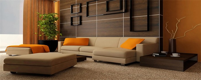 皮沙发和科技布沙发哪个更实用(科技布沙发和皮沙发哪个更耐用)