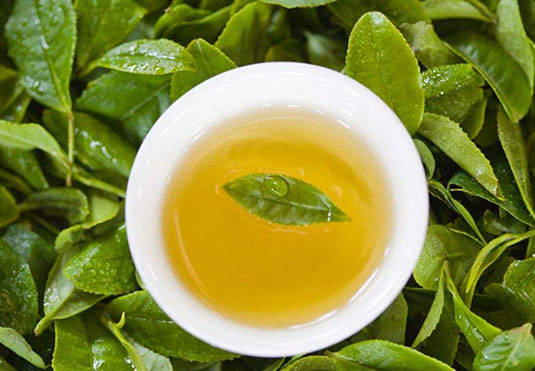 绿茶的功效与作用，不单单只是简单的茶