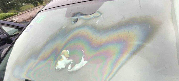 汽车油膜可以用洗洁精洗吗